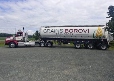 Grains Borovi